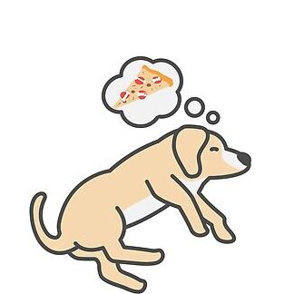 Significado de los sueños con bocadillos - Explorador de significados de los sueños